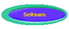 Seltsam