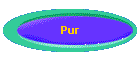Pur
