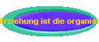 Erziehung ist die organisierte Verteidigung der Erwachsenen gegen die Jugend